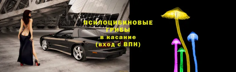 купить  цена  Еманжелинск  Псилоцибиновые грибы мухоморы 